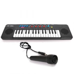 2 in 1 Entertainment and Learning Music Set
