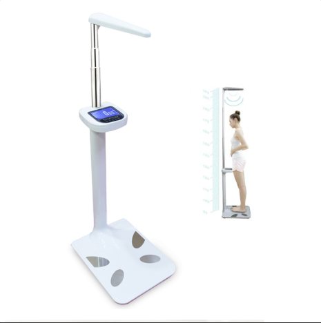 Weight Scale