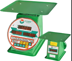 Electronic scale